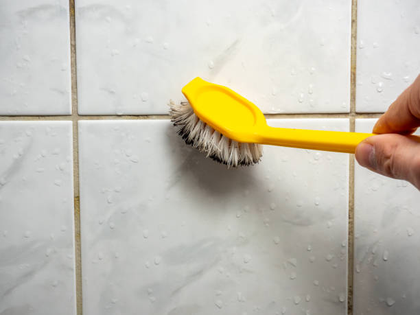 Best Same-Day Mold Removal  in St Pete Beach, FL